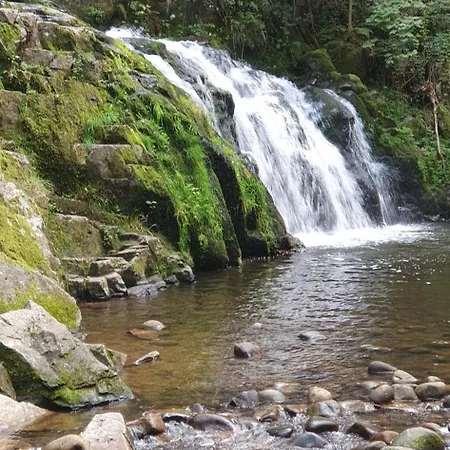Cosy Le Renne Des Neiges Vue Montagne *